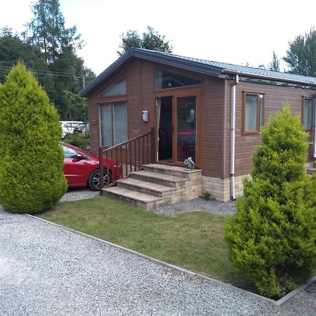 Squirrel Lodge Clearwell Kültér fotó