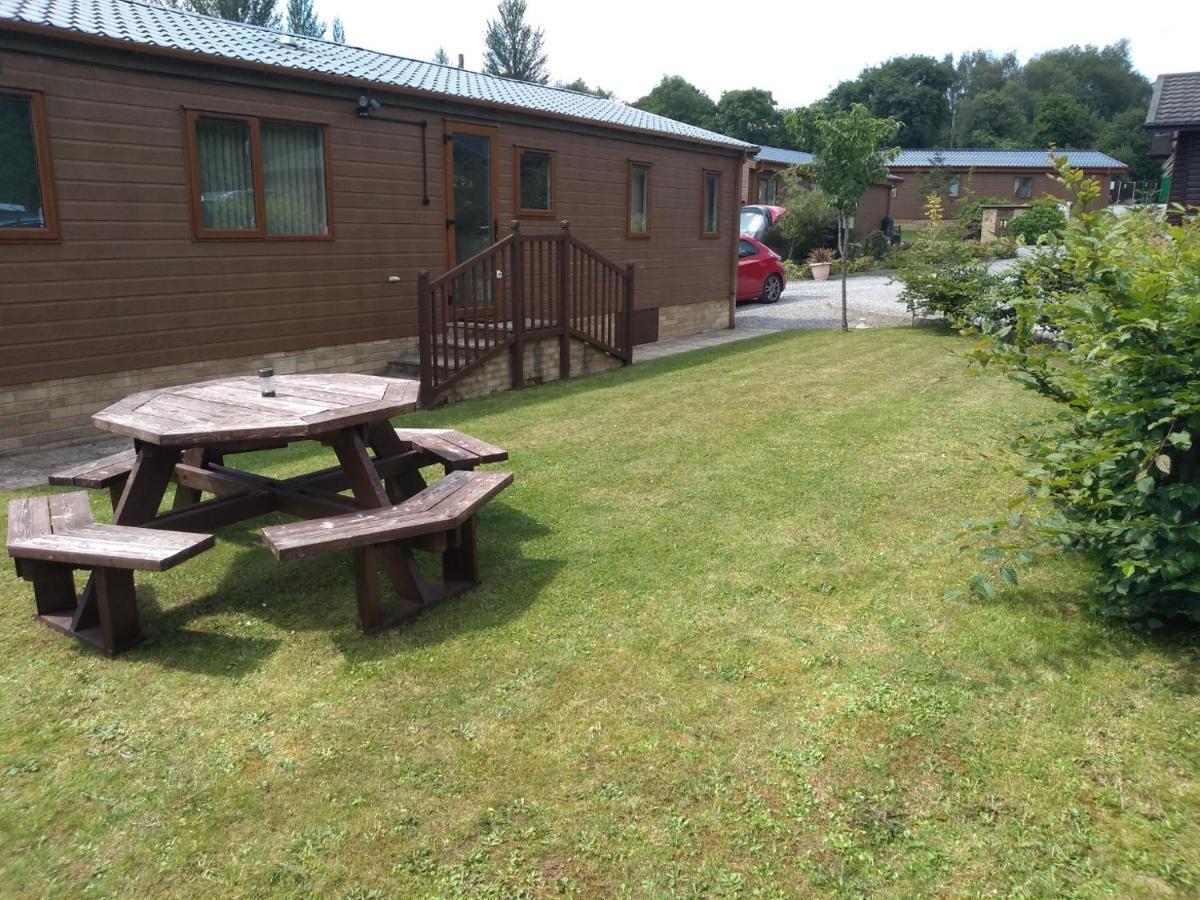 Squirrel Lodge Clearwell Kültér fotó